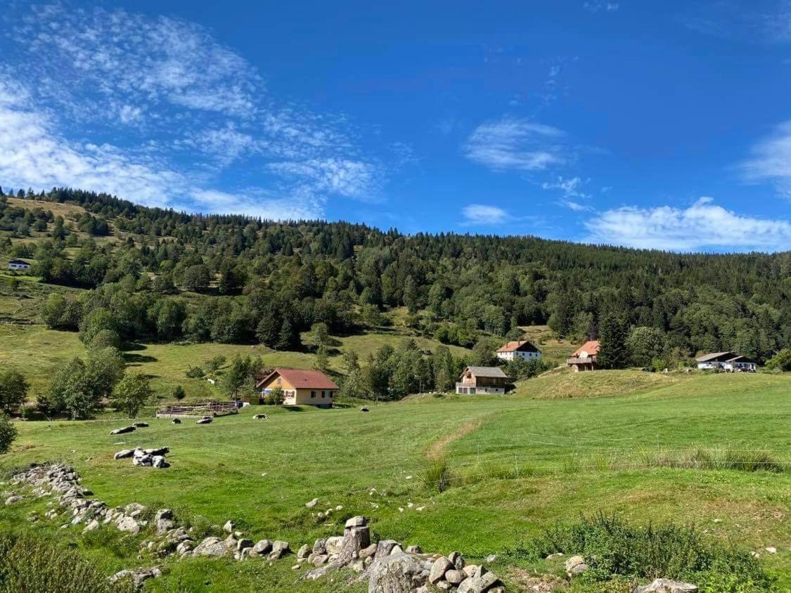 Chalet Spa Le Diamant Nathalie Mn La Rouge ラ・ブレス エクステリア 写真